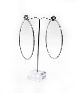 Fashion Hoop Earrings EH910375 SILVER